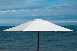 parasol